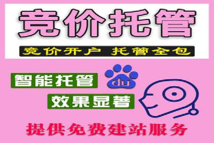 解析某某SEM服务公司的广告投放策略与效果评估